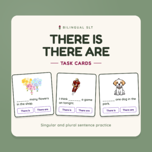 There is/There Are Task Cards