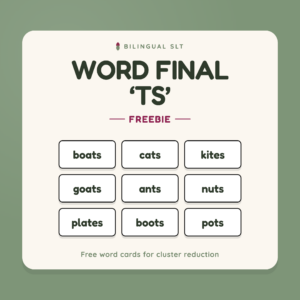 Word Final 'TS' Freebie